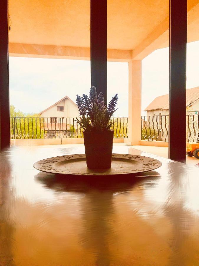 Breeze Villa Mamaia Nord Navodari Dış mekan fotoğraf